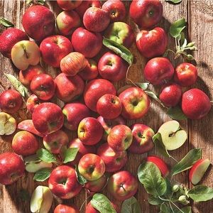 Meet your Posher, Nora